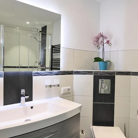 Cityflair Wifi Pool Sauna 6 Pers Ps4 Near Lift Winterberg